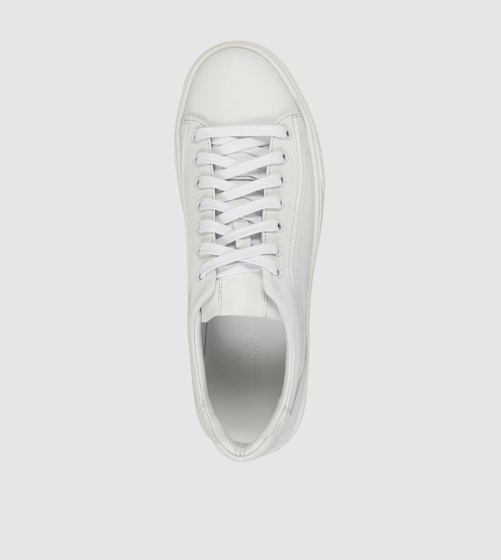Clifford Low Top Sneakers by Brando