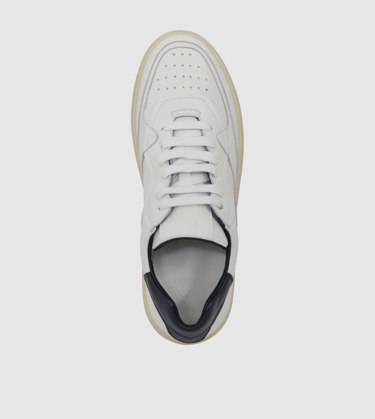 Cary Low Top Sneakers by Brando