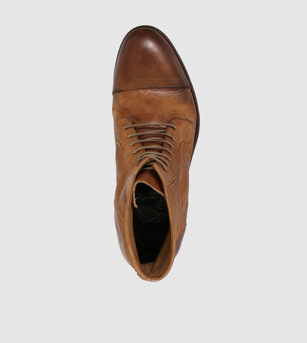 MidBrown
