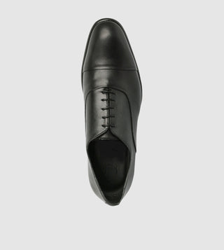William Lace Ups by Brando