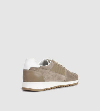 Taupe