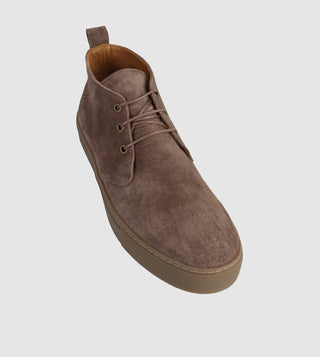 MidBrown